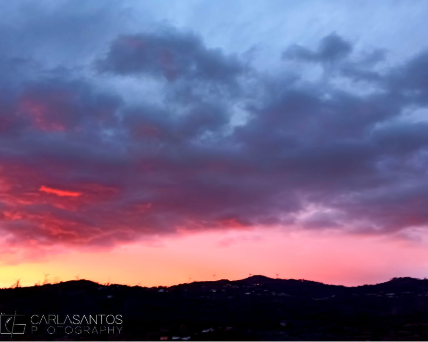 Escrita e(m) partilha