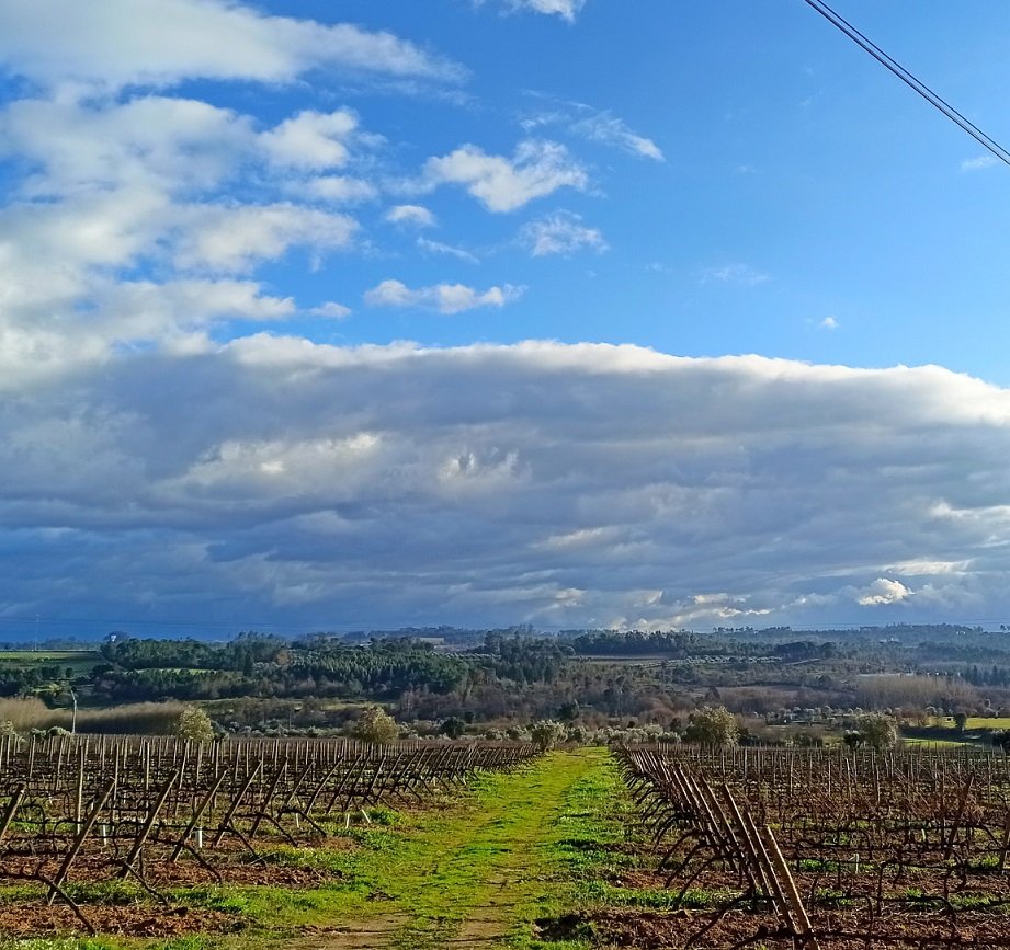 Escrita e(m) partilha