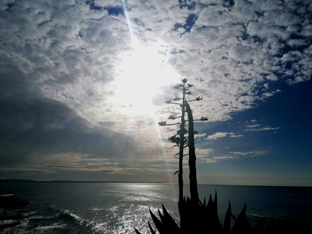 Escrita e(m) partilha