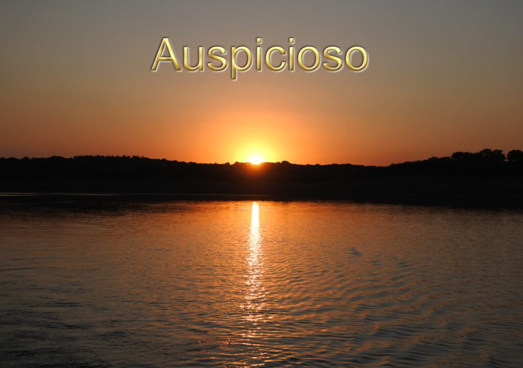 Escrita e(m) partilha