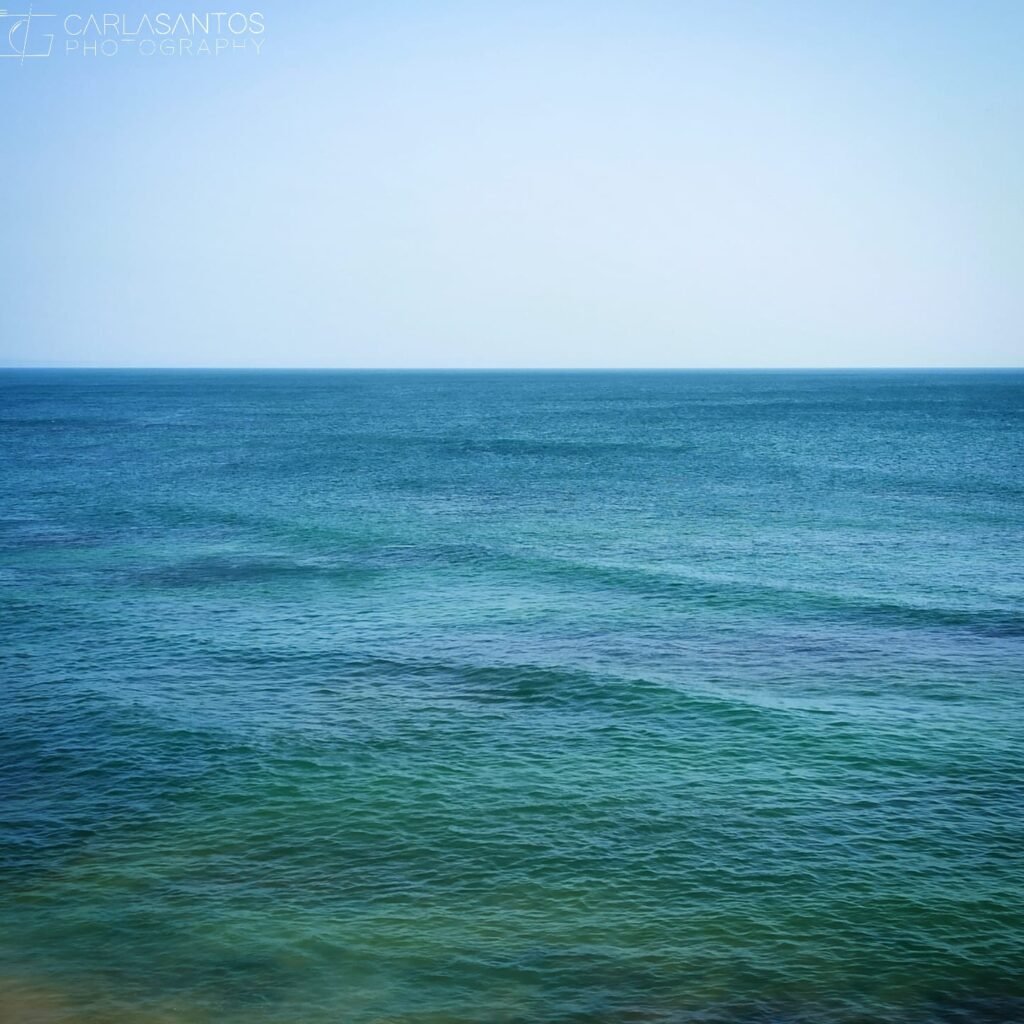 Escrita e(m) partilha