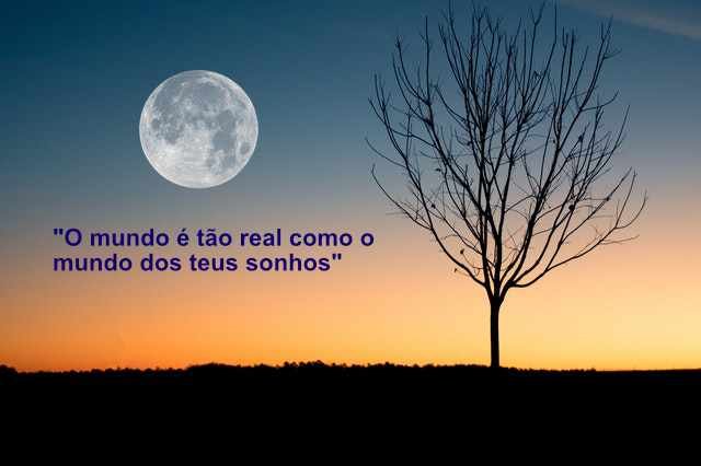 Escrita e(m) partilha