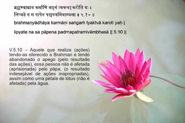 Escrita e(m) partilha