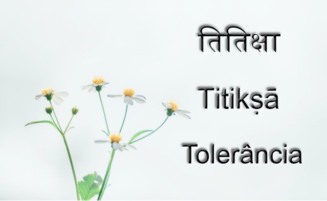 Escrita e(m) partilha