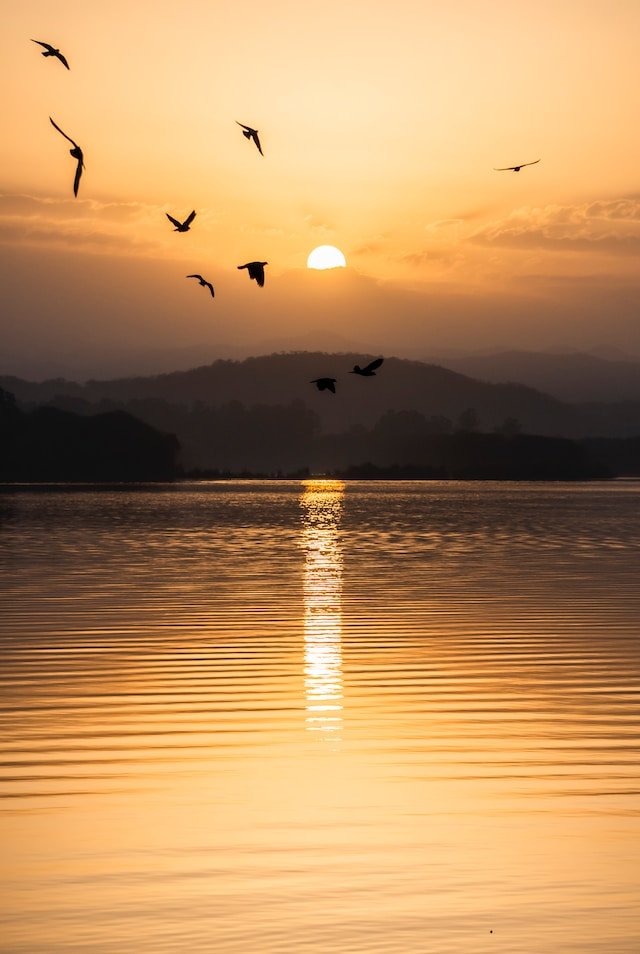 Poema Paulo Abreu Vieira